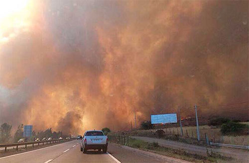 Estado de emergencia en una región de Alemania por incendios forestales